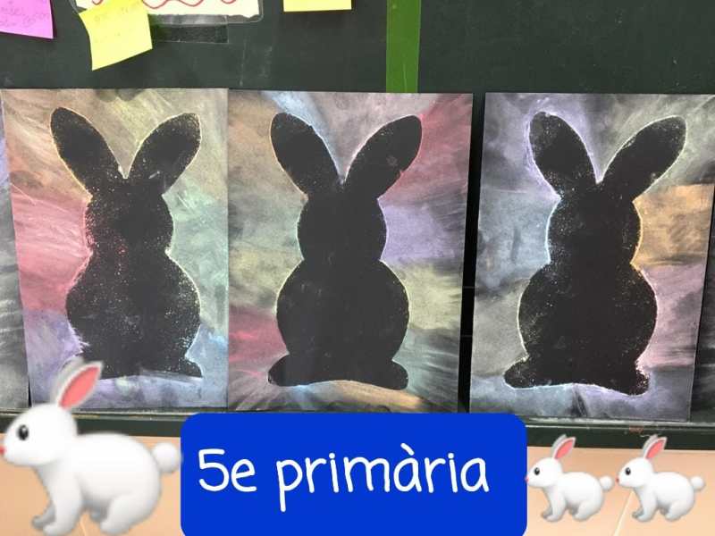 5è de Primària